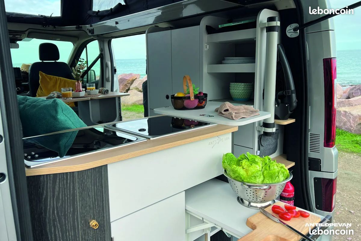 Renault Trafic - Antilope VAN FLEX Confort Plus - Visible au Chambon-Feugerolles